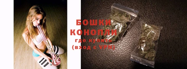 СК Бронницы