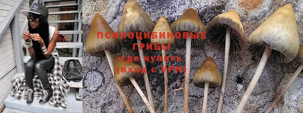 кокаин колумбия Бородино