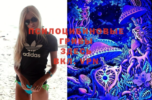 сатива Бугульма