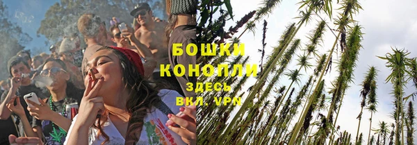сатива Бугульма