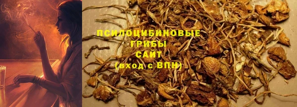 СК Бронницы