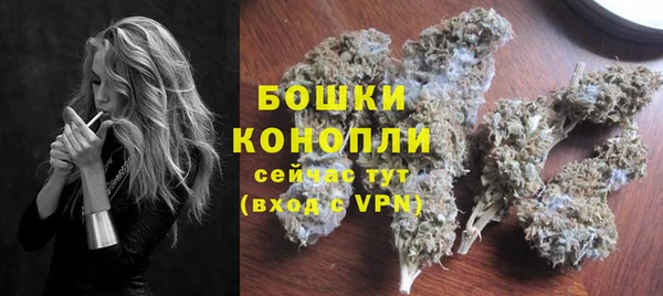 СК Бронницы