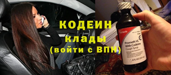СК Бронницы