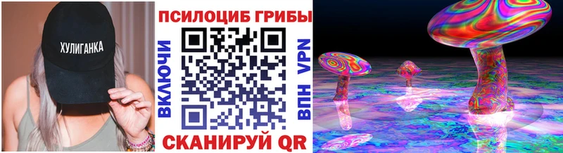 Псилоцибиновые грибы ЛСД  Купить где  Меленки 